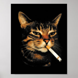 Affiche Drôle Chat Fumant Cigarette Chat Mignon Mème Stupi