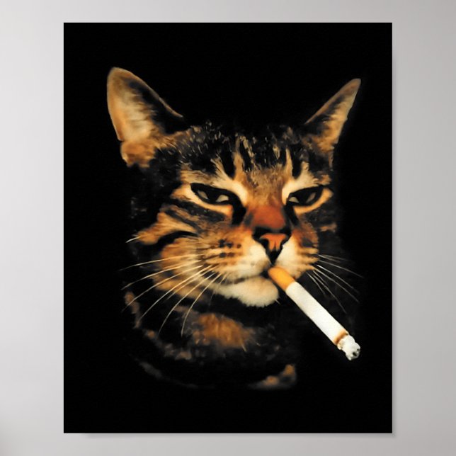 Affiche Drôle Chat Fumant Cigarette Chat Mignon Mème Stupi (Devant)