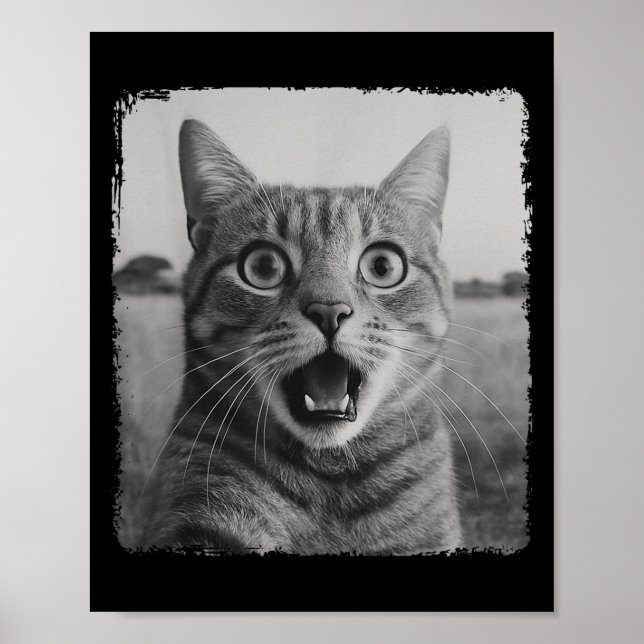 Affiche Drôle Chat Selfie Mème Graphique Pour Hommes Femme (Devant)
