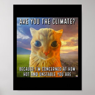 Affiche Drôle Couple Valentine Orange Chat Meme Êtes-Vous