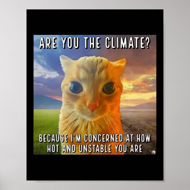 Affiche Drôle Couple Valentine Orange Chat Meme Êtes-Vous  (Devant)