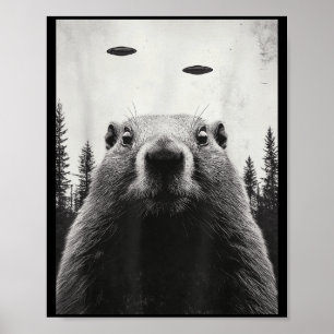 Affiche Drôle d'Alien Ufo Enlève Marmotte Mignonne Marmott