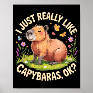 Affiche Drôle d'art de capybara pour hommes femmes enfants