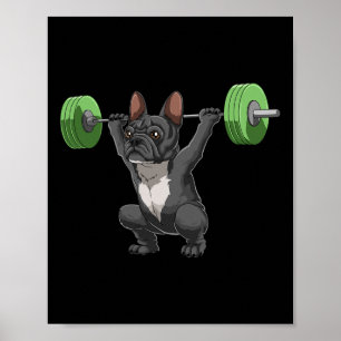 Affiche Drôle de Bouledogue Français de musculation et de