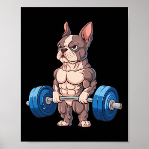Affiche Drôle de bouledogue français musculation bodybuild