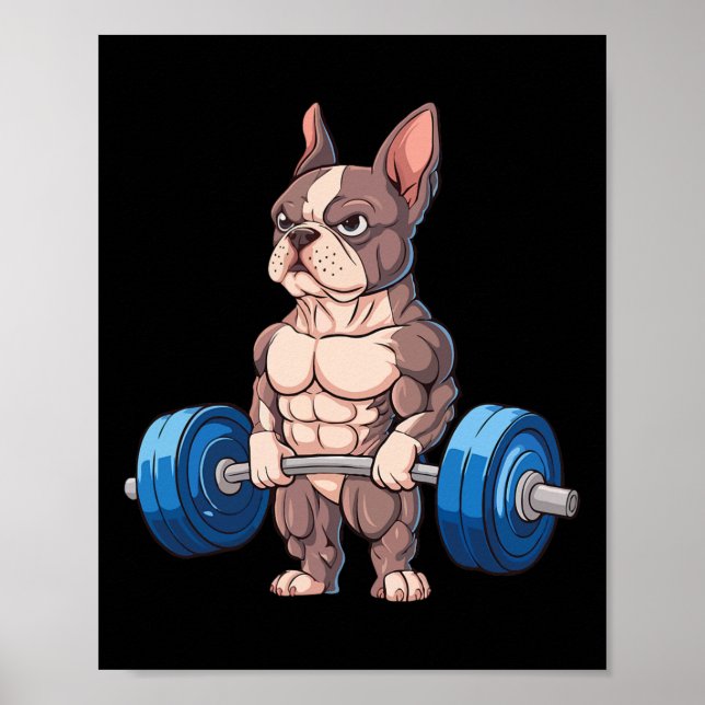 Affiche Drôle de bouledogue français musculation bodybuild (Devant)