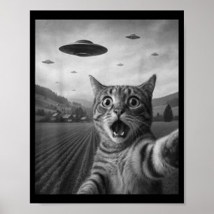 Affiche Drôle de chat éd surpris selfie avec un chat alien