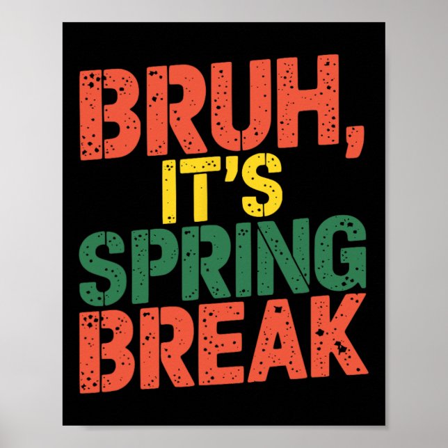 Affiche Drôle de frère C'est les vacances de printemps Vin (Devant)