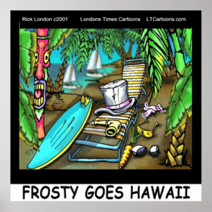 Affiche Drôle de Frosty à Hawaï