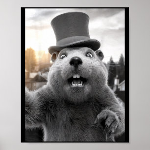 Affiche Drôle de jour de la marmotte Woodchuck Drôle de Gr