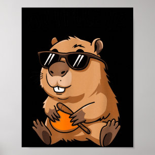 Affiche Drôle de marmotte Ok je monte Sungles