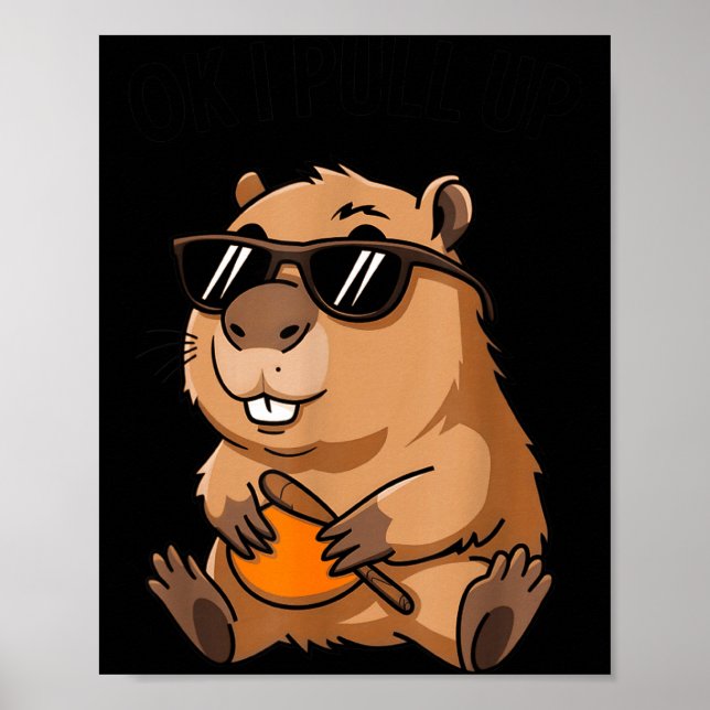 Affiche Drôle de marmotte Ok je monte Sungles  (Devant)