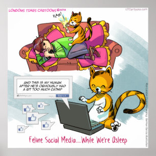 Affiche drôle de médias sociaux félin