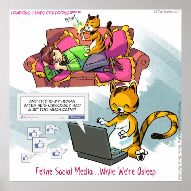 Affiche drôle de médias sociaux félin (Devant)