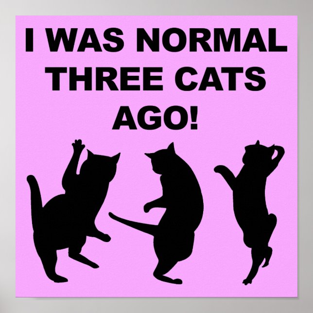 Affiche drôle de panneau Normal il y a trois chats (Devant)