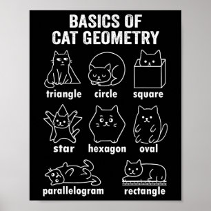 Affiche Drôle de physique de la géométrie du chat retour à