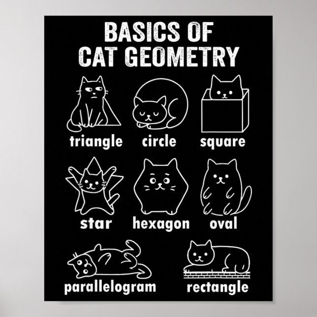 Affiche Drôle de physique de la géométrie du chat retour à (Devant)