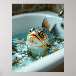 Affiche Drôle de poisson dans le bain
