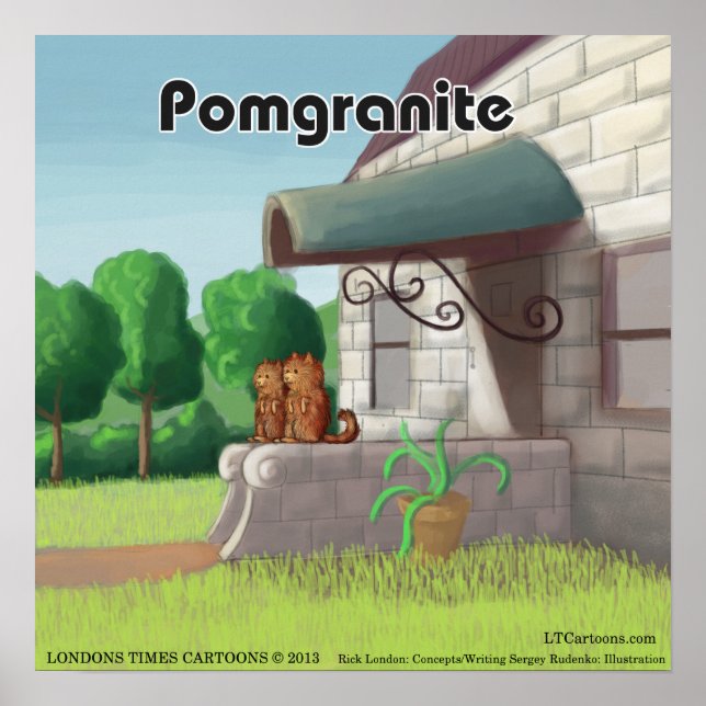 Affiche drôle de Pomeranian sur Granite (PomGranit (Devant)