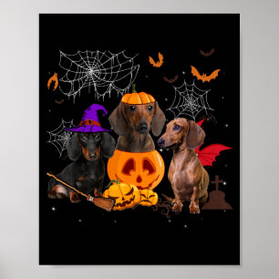 Affiche Drôle de sorcière citrouille teckel chien apparié