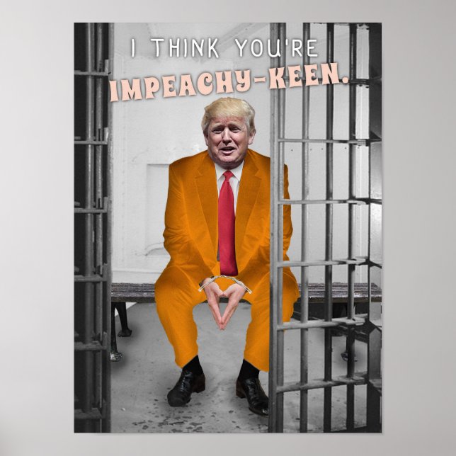 Affiche Drôle Donald Trump dans l'Humour de la prison (Devant)
