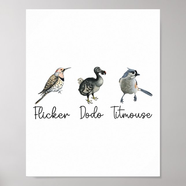 Affiche Drôle Flicker Dodo Titsouris (Devant)