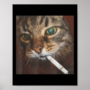 Affiche Drôle Fumer Mème de chat