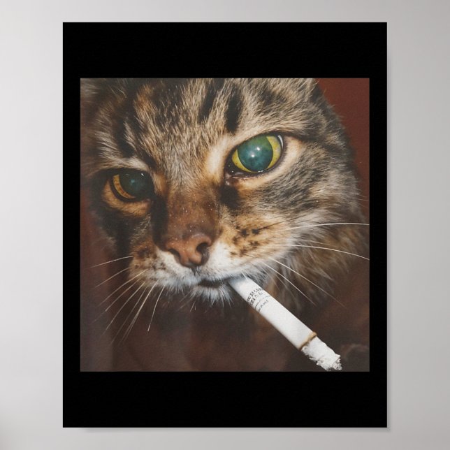 Affiche Drôle Fumer Mème de chat (Devant)
