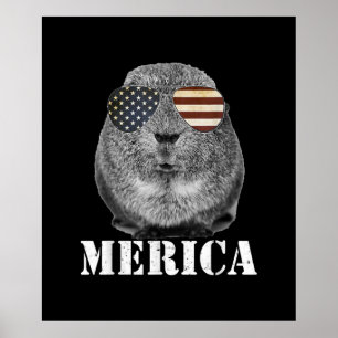 Affiche Drôle Guinée Cochon Merica Patriotique Usa Lunette