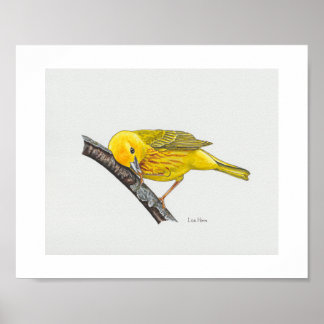 Affiche Drôle Jaune Paruline Imprimer