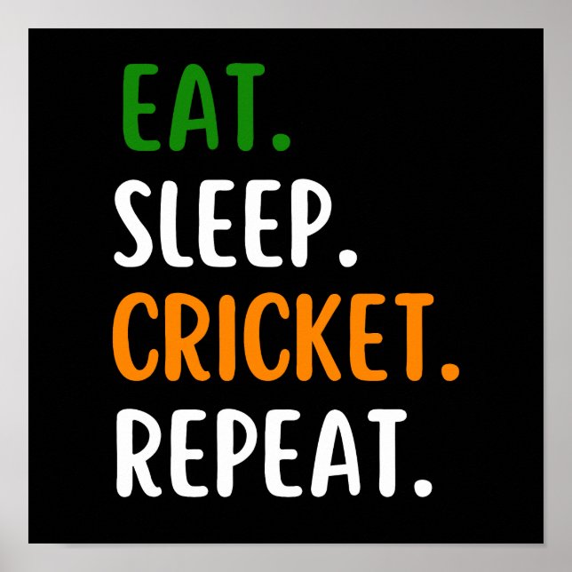 Affiche Drôle Mangez Le Cricket Dormir Répéter (Devant)