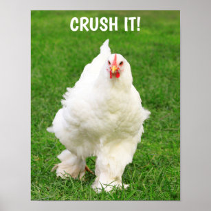 Affiche Drôle Motivation du poulet rôti