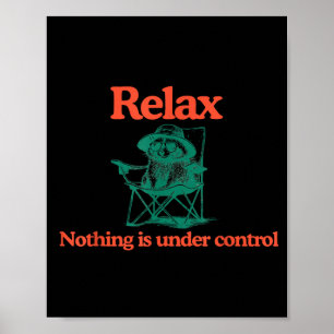 Affiche Drôle Relax Rien n'est sous contrôle Raton laveur