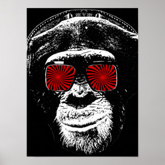 Affiche Drôle singe