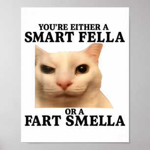 Affiche Drôle Soit T'es Un Mec Intelligent Ou Un Renifleur