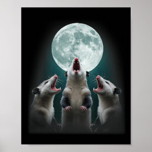 Affiche Drôle Trois Lune Possum _ 3 Opossum Et Lune Morte