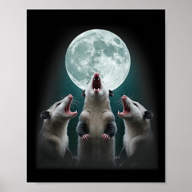 Affiche Drôle Trois Lune Possum _ 3 Opossum Et Lune Morte (Devant)