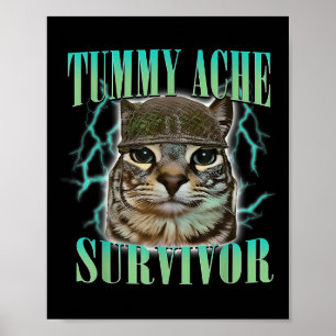 Affiche Drôle Tummy Ache Survivante Mème Chat Dit Chats An