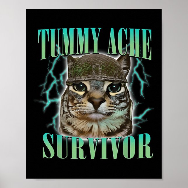 Affiche Drôle Tummy Ache Survivante Mème Chat Dit Chats An (Devant)