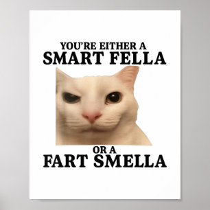 Affiche Drôle Vous Avez Soit Une Fella Intelligente Soit U