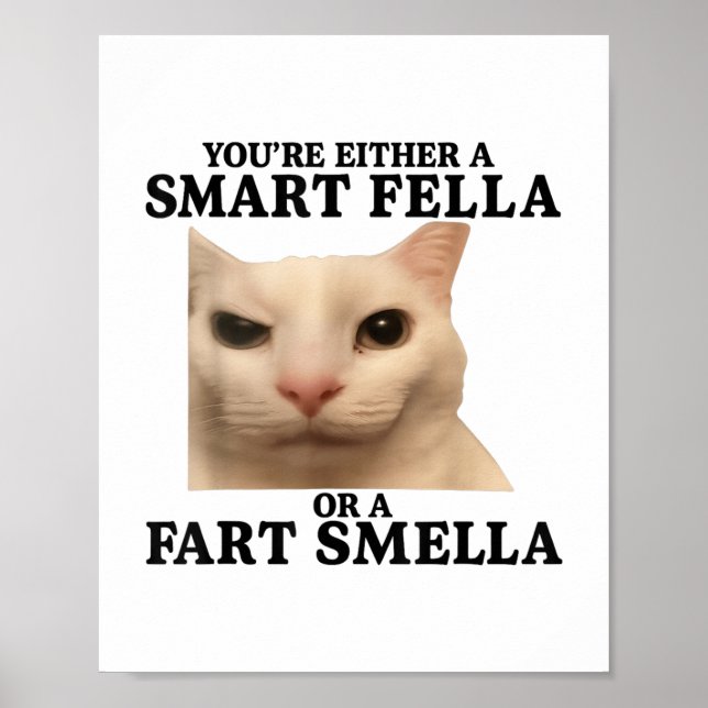 Affiche Drôle Vous Avez Soit Une Fella Intelligente Soit U (Devant)