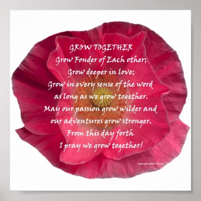 AFFICHE DSCN0136 (Devant)