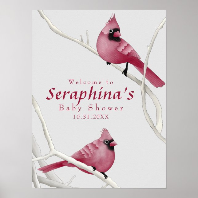 Affiche du Baby shower des cardinaux d'hiver (Devant)