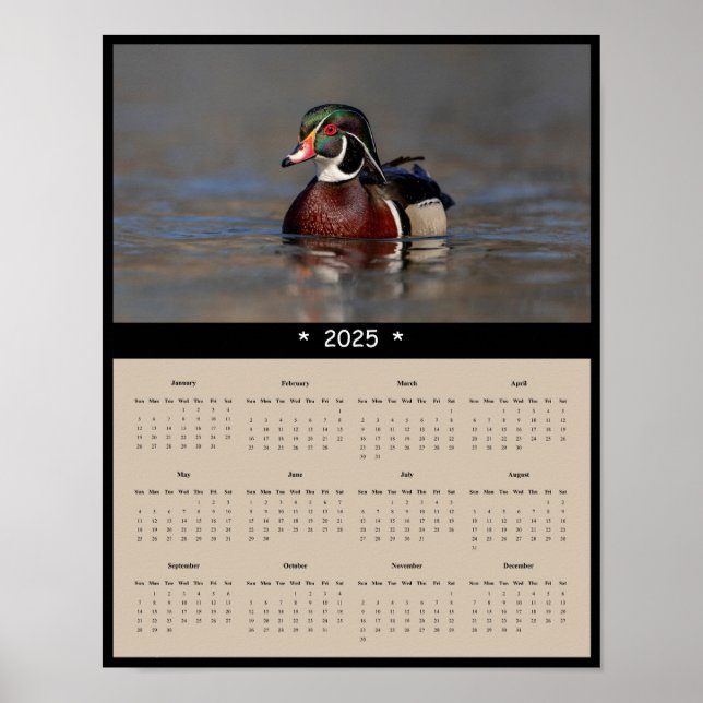 Affiche du calendrier 2025 Wood Duck Drake Wall (Devant)