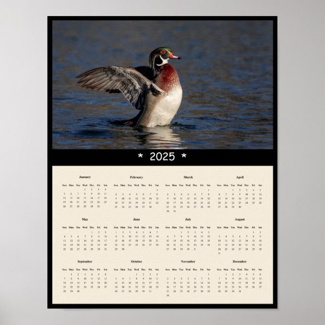 Affiche du calendrier 2025 Wood Duck Drake Wall (Devant)