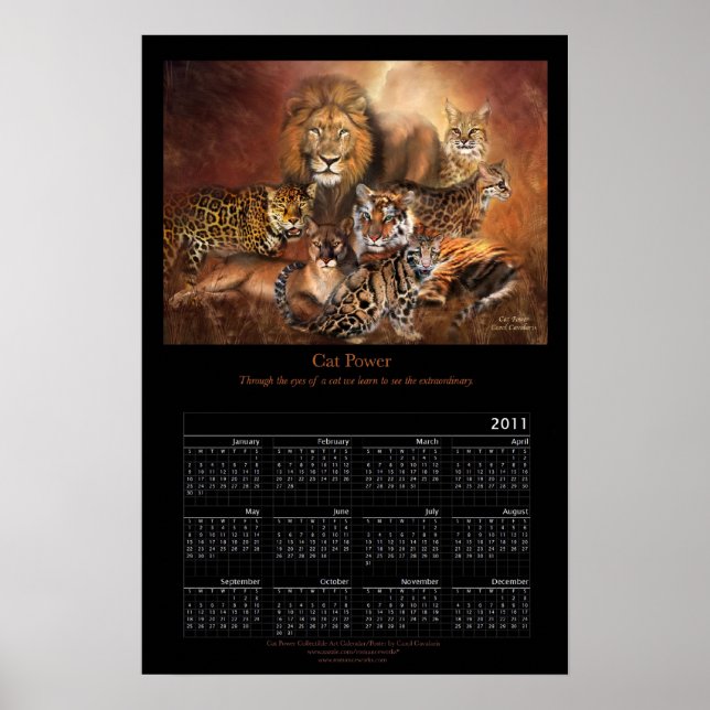 Affiche du calendrier artistique de Cat Power 2011 (Devant)