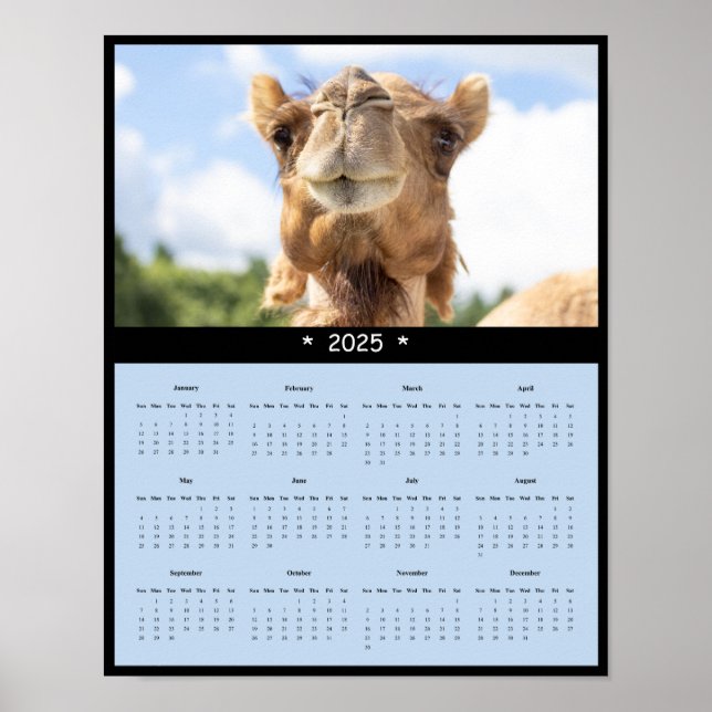 Affiche du calendrier des murs de chameaux 2025 (Devant)