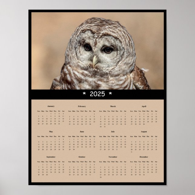 Affiche du calendrier mural de la Chouette barrée  (Devant)
