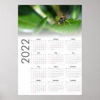 Affiche du calendrier Wasp 2022 - Début dimanche