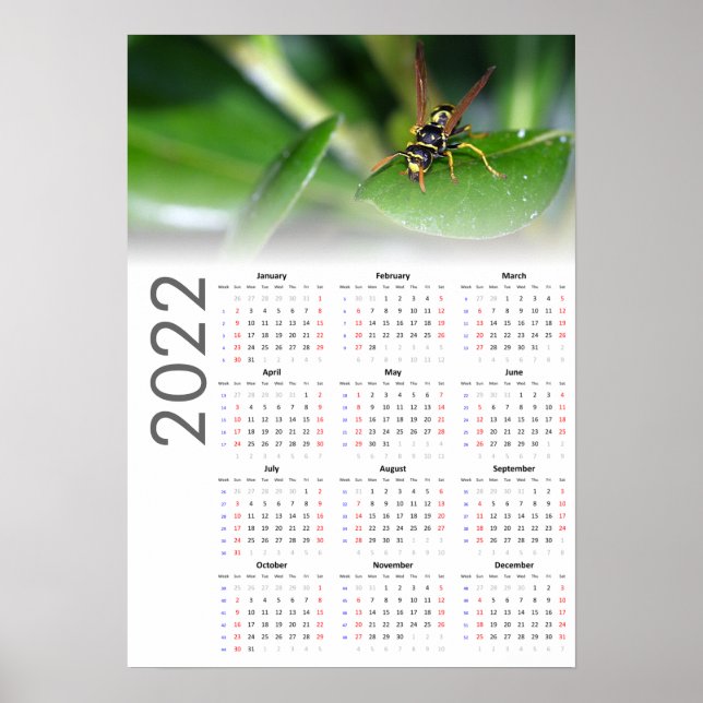 Affiche du calendrier Wasp 2022 - Début dimanche (Devant)